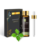 10ML Aromatic Diffuser Essential Oil Lavender Vanilla Myrrh Fragrance Oil for Soaps Candle Making Massage Humidifiers